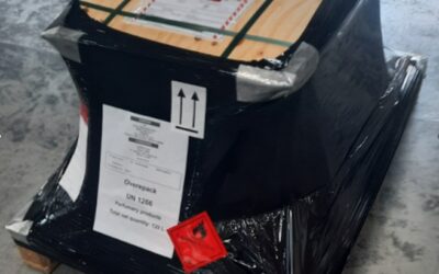 Exportation de produits cosmétiques réglementés : tout ce qu’il faut savoir pour éviter les blocages